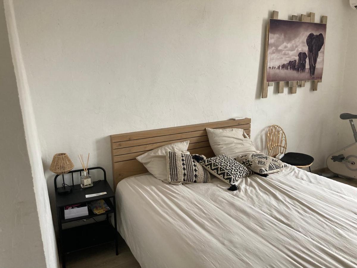 Chambre Privee Dans Maison Dromoise - Viarhona - Autoroute - Jacuzzi A Reserver En Supplement Шатонеф-дю-Рон Экстерьер фото